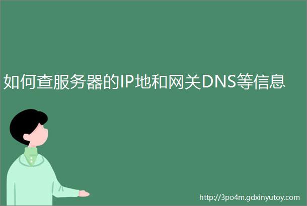 如何查服务器的IP地和网关DNS等信息